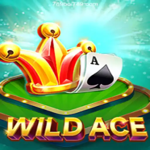 Exploring WildAce: A Thrilling Online Casino Adventure